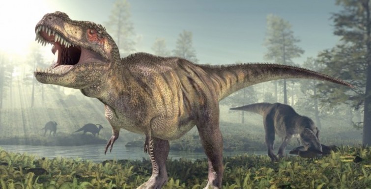 Are you following a Prehistoric diet?